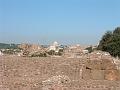 City from Ruins 7